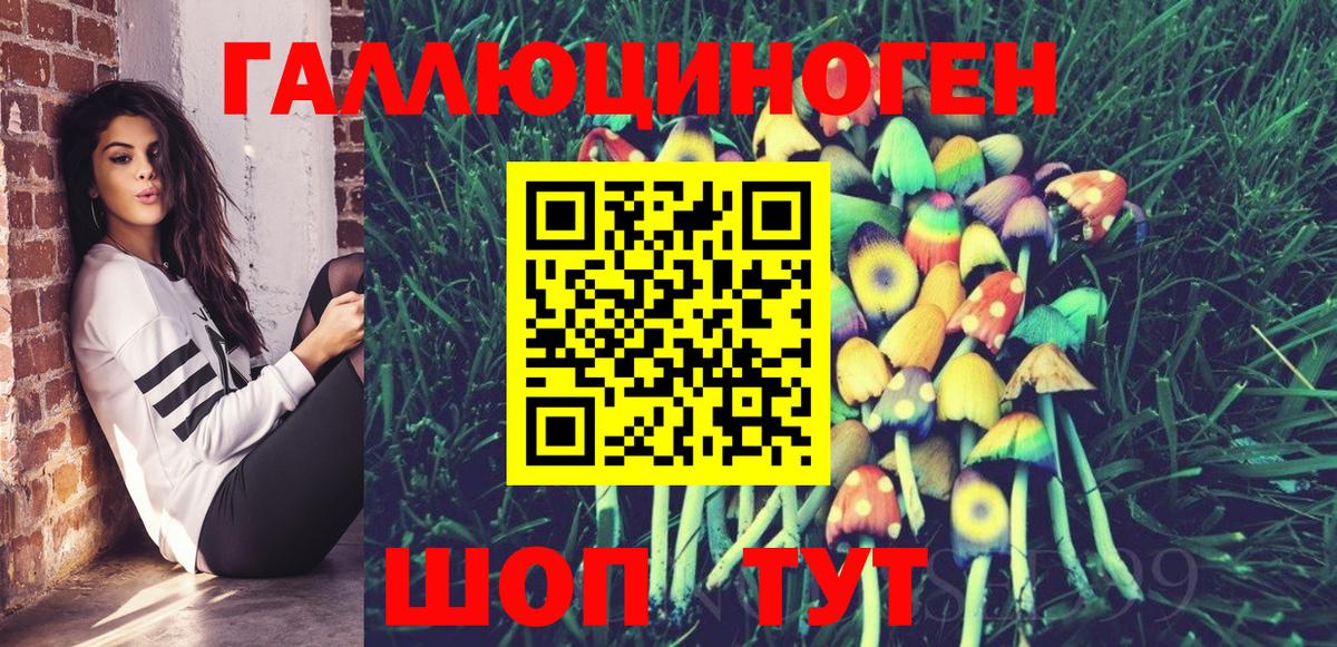 Вольск  Псилоцибиновые грибы Psilocybine cubensis  купить  цена  Вход с VPN 